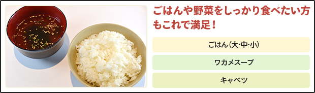 ごはんや野菜をしっかり食べたい方もこれで満足!